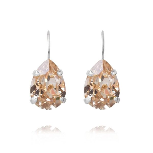 Mini Drop Clasp Earrings Rhodium