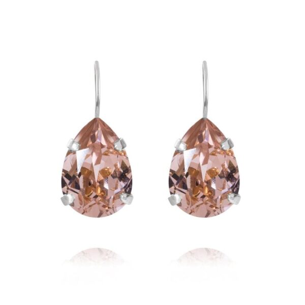 Mini Drop Clasp Earrings Rhodium