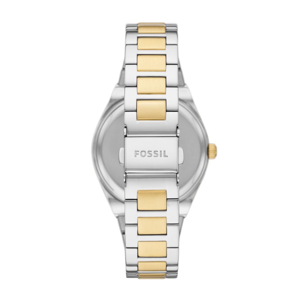 Fossil Scarlette