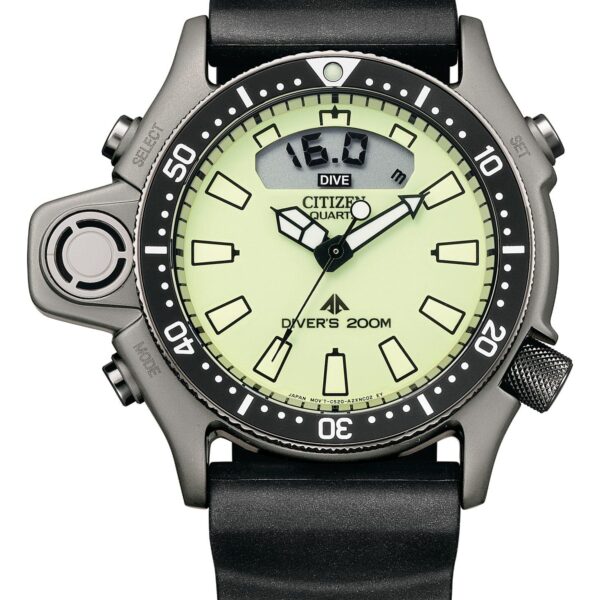 Citizen Promaster